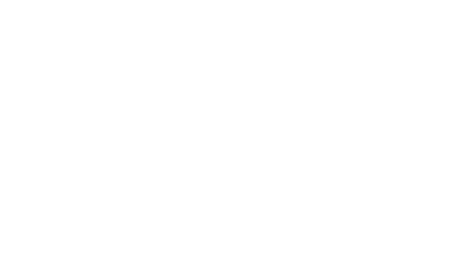Logo University of Applied Sciences in Salzburg